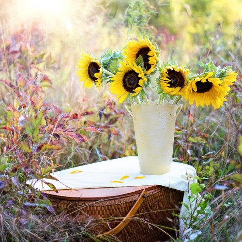 Sunny Dozen Bouquet